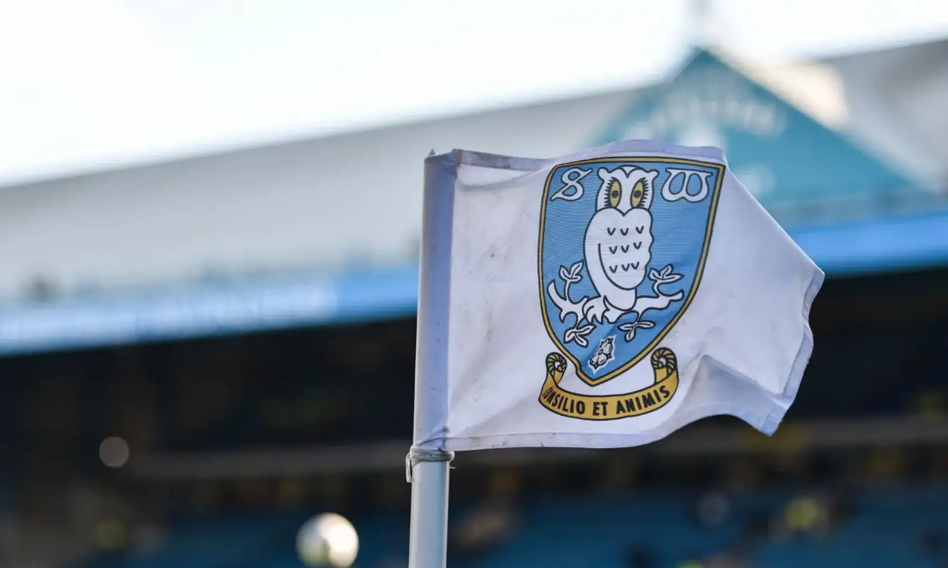 Йорданський принц серед претендентів на купівлю Шеффілд Венсдей