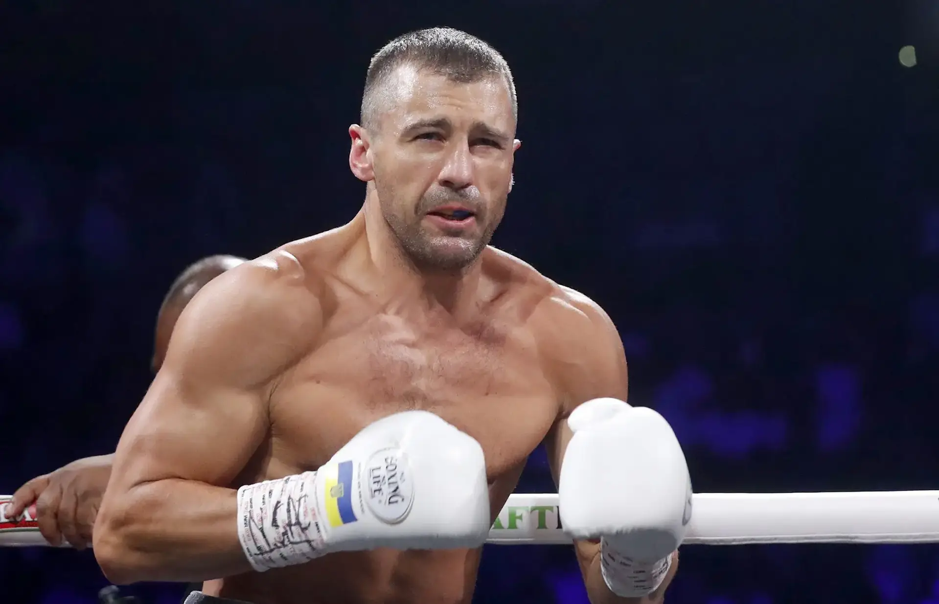 Гвоздик назвав можливі терміни реваншу з Калайджичем