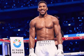 Джошуа може провести бій із Вайлдером перед зустріччю з Ф’юрі