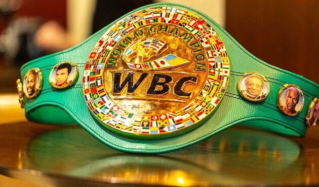 WBC готова санкціонувати бій Ф’юрі – Джошуа як фінальний елімінатор